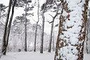 BUITEN BEELD Foto: 78382