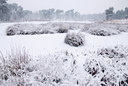 BUITEN BEELD Foto: 78385