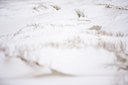 BUITEN BEELD Foto: 78395