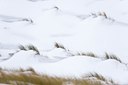 BUITEN BEELD Foto: 78547