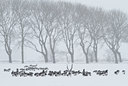 BUITEN BEELD Foto: 78568