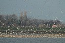 BUITEN BEELD Foto: 78602