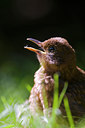 BUITEN BEELD Foto: 78625