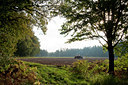 BUITEN BEELD Foto: 78656