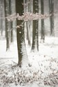 BUITEN BEELD Foto: 78665