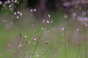BUITEN BEELD Foto: 78708