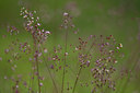 BUITEN BEELD Foto: 78709