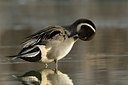 BUITEN BEELD Foto: 78787