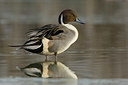 BUITEN BEELD Foto: 78788