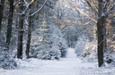 BUITEN BEELD Foto: 78794
