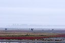 BUITEN BEELD Foto: 78825