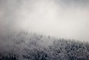 BUITEN BEELD Foto: 78866