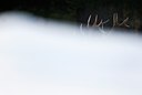 BUITEN BEELD Foto: 78873