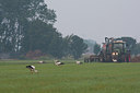 BUITEN BEELD Foto: 78942