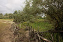 BUITEN BEELD Foto: 78950