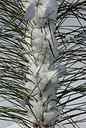 BUITEN BEELD Foto: 78955