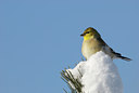 BUITEN BEELD Foto: 78960