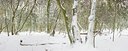 BUITEN BEELD Foto: 78986