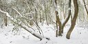 BUITEN BEELD Foto: 78987