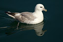 BUITEN BEELD Foto: 7032