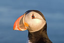 BUITEN BEELD Foto: 7044