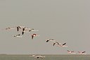 BUITEN BEELD Foto: 7135