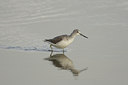 BUITEN BEELD Foto: 7151