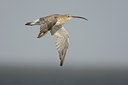BUITEN BEELD Foto: 7208