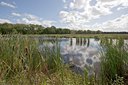 BUITEN BEELD Foto: 7242