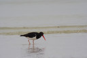 BUITEN BEELD Foto: 7737