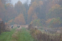 BUITEN BEELD Foto: 79115