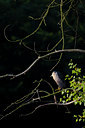 BUITEN BEELD Foto: 79143
