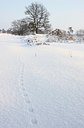 BUITEN BEELD Foto: 79154