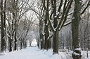 BUITEN BEELD Foto: 79155