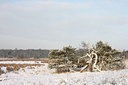 BUITEN BEELD Foto: 79156