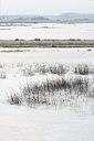 BUITEN BEELD Foto: 79162