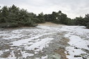 BUITEN BEELD Foto: 79170