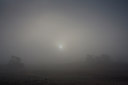 BUITEN BEELD Foto: 79229