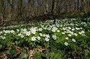 BUITEN BEELD Foto: 79252