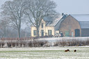 BUITEN BEELD Foto: 79275