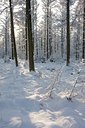 BUITEN BEELD Foto: 79297