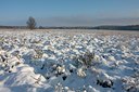 BUITEN BEELD Foto: 79299