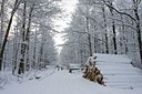 BUITEN BEELD Foto: 79307