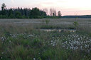 BUITEN BEELD Foto: 79310