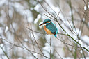 BUITEN BEELD Foto: 79313