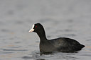BUITEN BEELD Foto: 79318