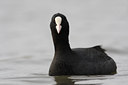 BUITEN BEELD Foto: 79321