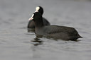 BUITEN BEELD Foto: 79322