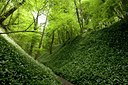 BUITEN BEELD Foto: 79348