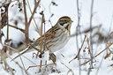 BUITEN BEELD Foto: 79426